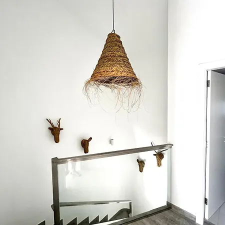 Gorgeous Douplex In