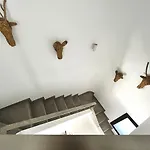 Gorgeous Douplex In *